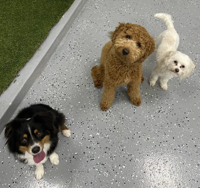 Skyline Animal Hospital Picture 5