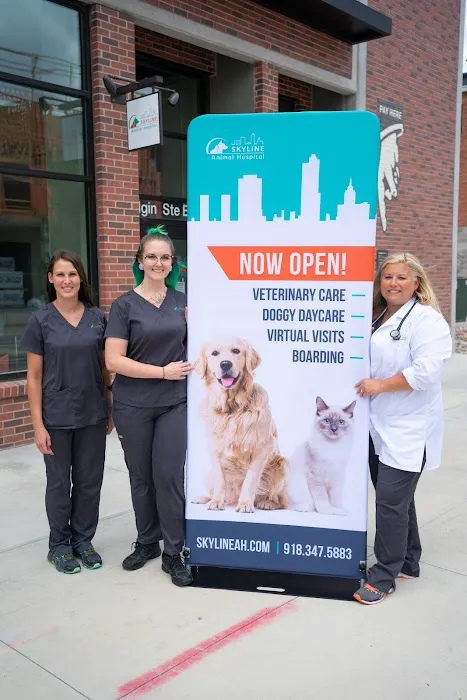 Skyline Animal Hospital Picture 9