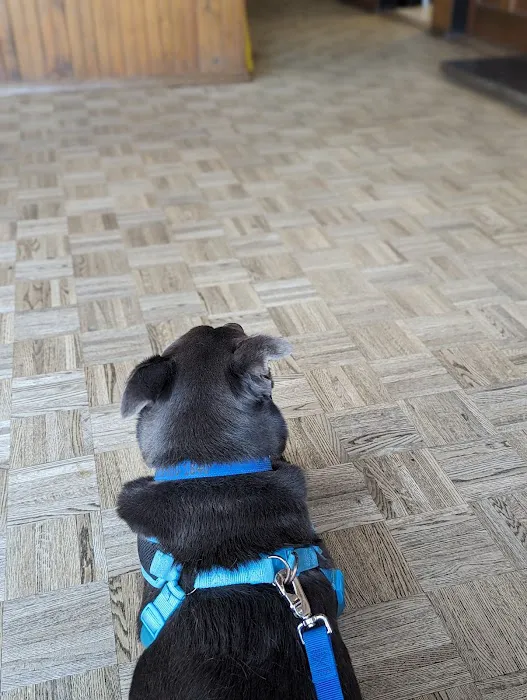 Pawsitive Veterinary Care Picture 3