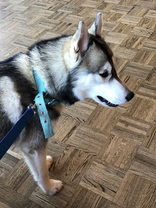 Pawsitive Veterinary Care Picture 7