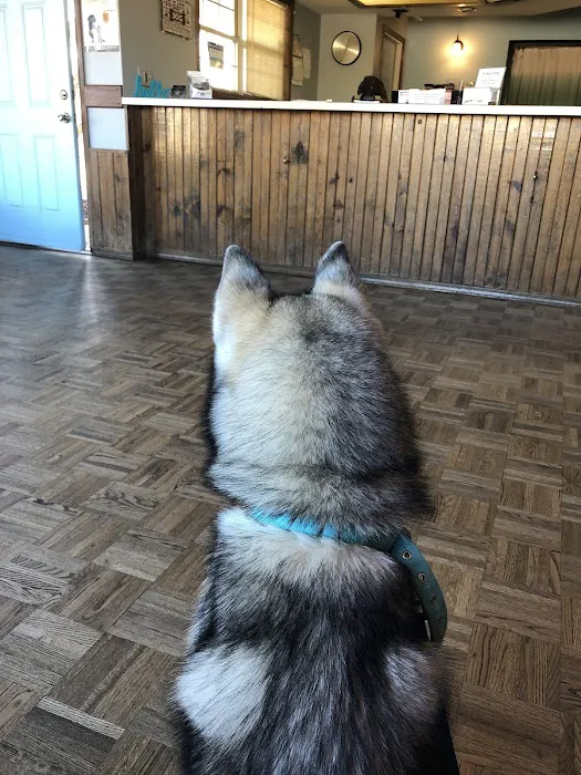 Pawsitive Veterinary Care Picture 6