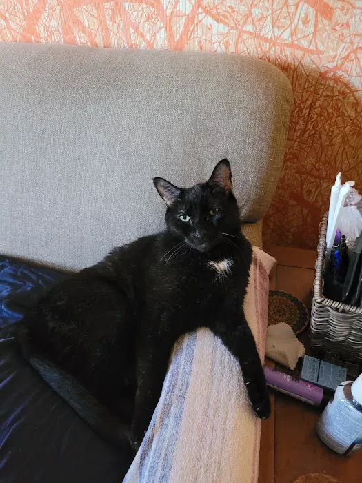 Cedarwood Veterinary Clinic Picture 1