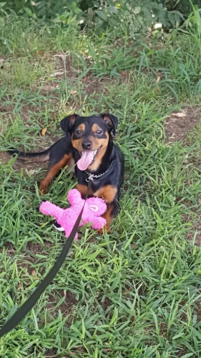 Cedarwood Veterinary Clinic Picture 8