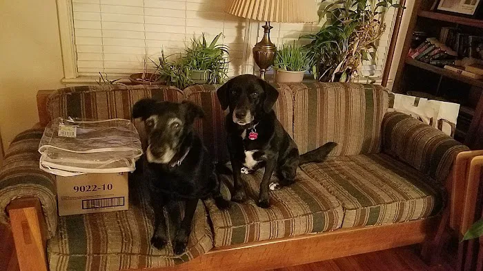 Cedarwood Veterinary Clinic Picture 6