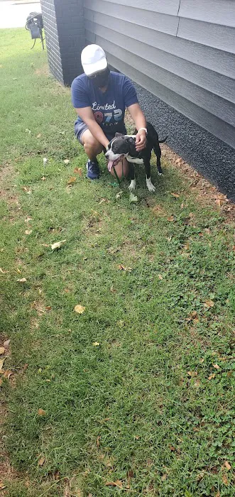 Cedarwood Veterinary Clinic Picture 10