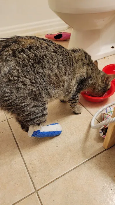 Jacox Animal Clinic Picture 1