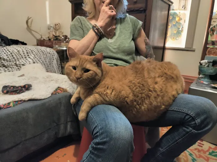 Jacox Animal Clinic Picture 5