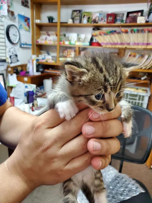 Jacox Animal Clinic Picture 8