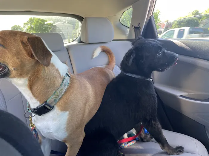 Jacox Animal Clinic Picture 9