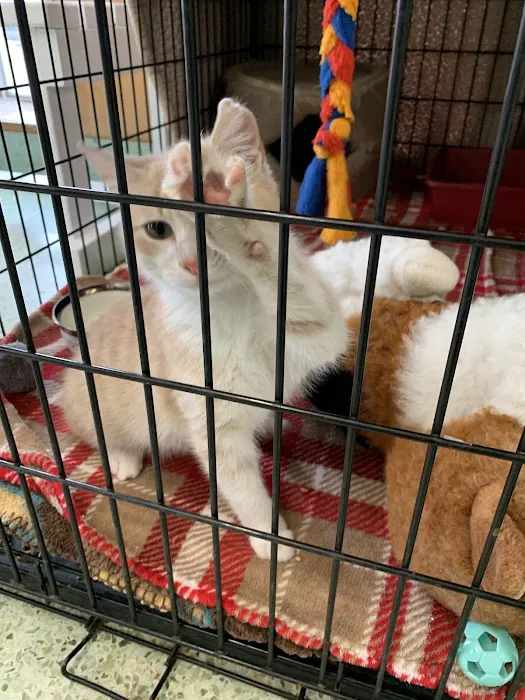 Jacox Animal Clinic Picture 10