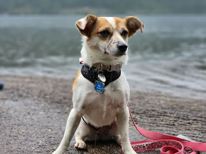 Jacox Animal Clinic Picture 7