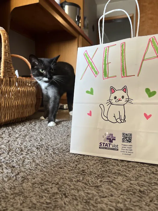 STATVet Animal Urgent Care at Cherry Street Picture 2