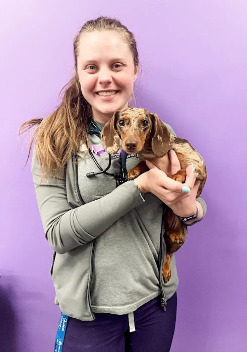 STATVet Animal Urgent Care at Cherry Street Picture 6