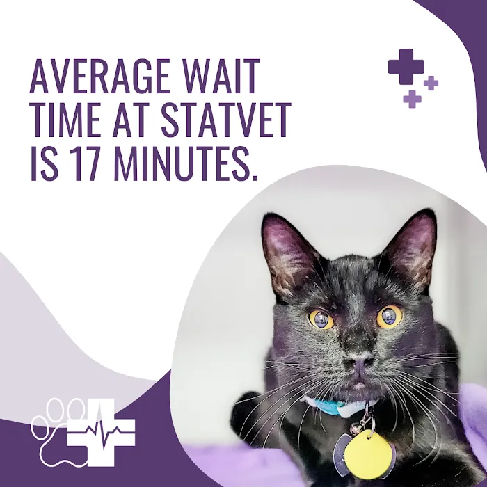 STATVet Animal Urgent Care at Cherry Street Picture 10