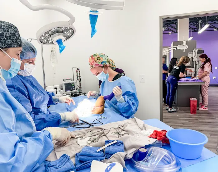 STATVet Animal Urgent Care at Cherry Street Picture 9