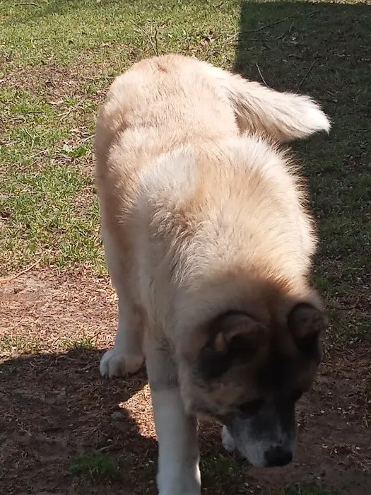 Ranch Acres Veterinary Hospital Picture 1