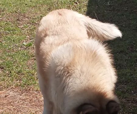 Ranch Acres Veterinary Hospital