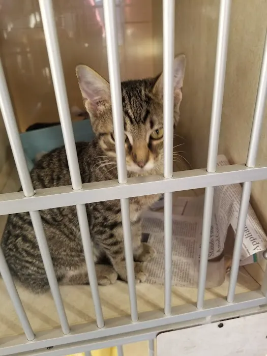 Ranch Acres Veterinary Hospital Picture 4