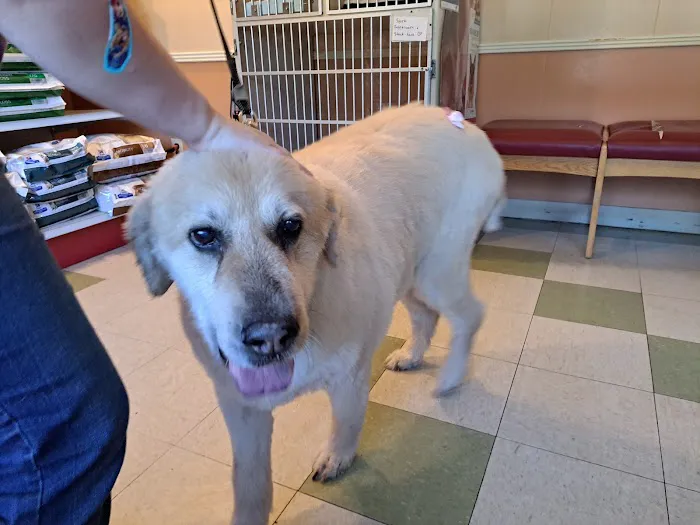 Ranch Acres Veterinary Hospital Picture 2