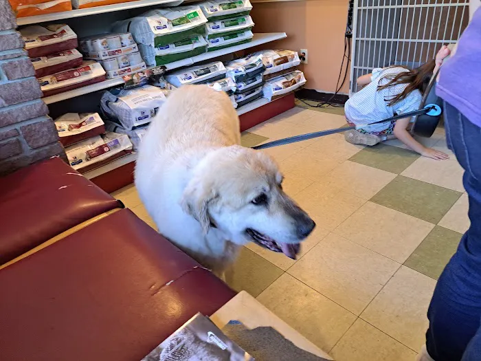 Ranch Acres Veterinary Hospital Picture 3