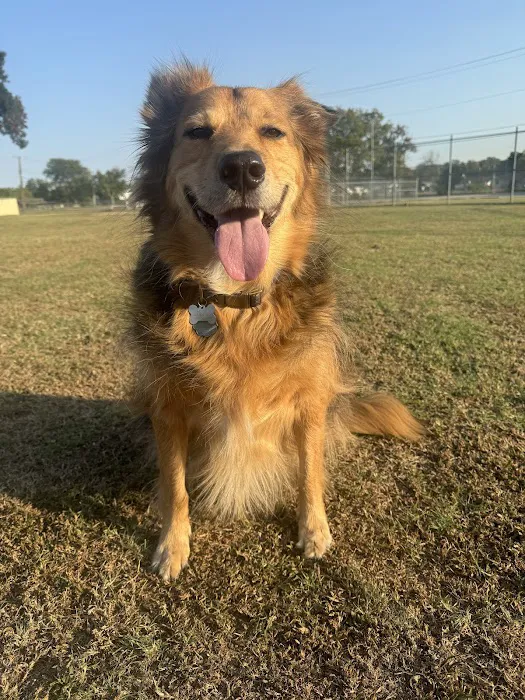 Ranch Acres Veterinary Hospital Picture 8