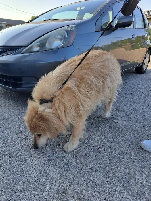 Ranch Acres Veterinary Hospital Picture 7