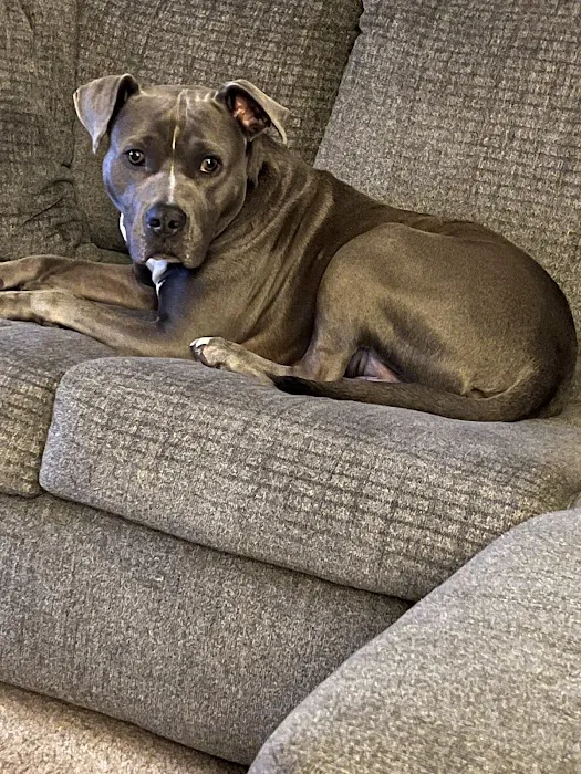 Ranch Acres Veterinary Hospital Picture 5