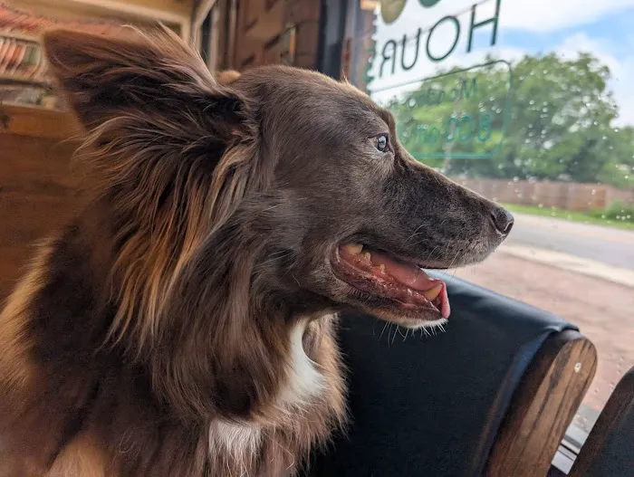 Ranch Acres Veterinary Hospital Picture 6