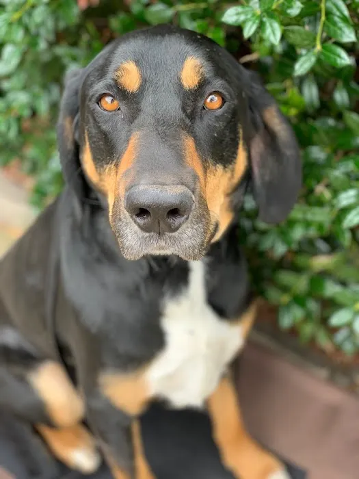 Ranch Acres Veterinary Hospital Picture 9