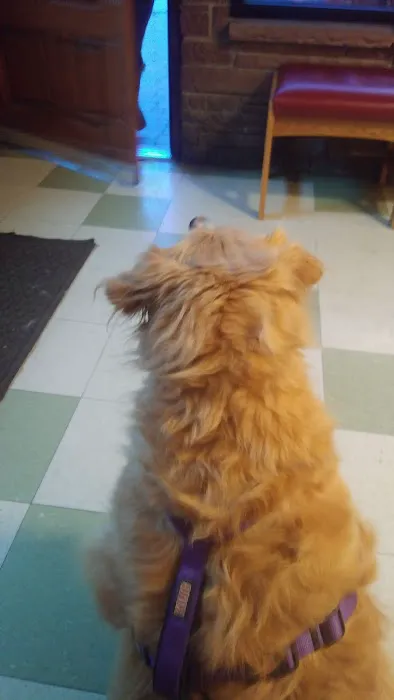 Ranch Acres Veterinary Hospital Picture 10