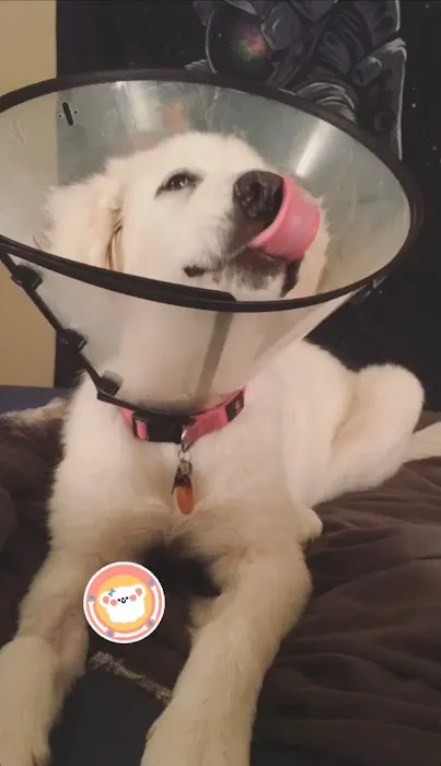 Elm Creek Animal Hospital Picture 2