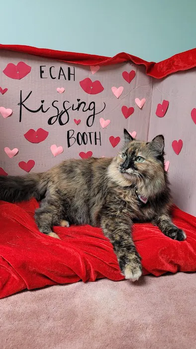 Elm Creek Animal Hospital Picture 1