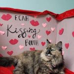 Elm Creek Animal Hospital