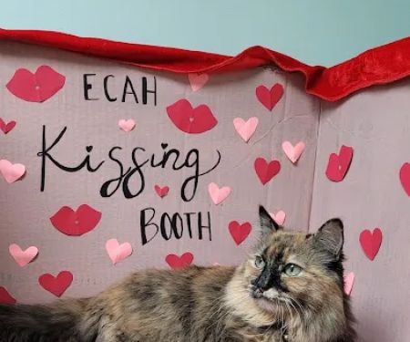 Elm Creek Animal Hospital