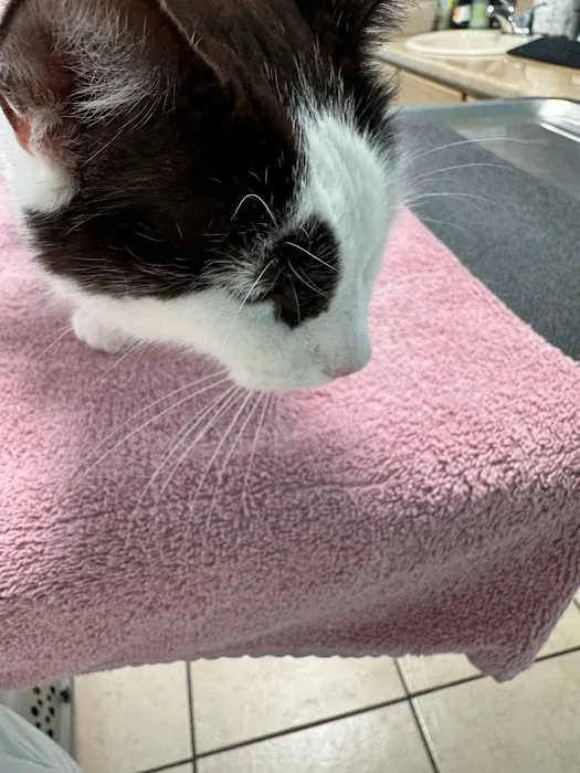 Elm Creek Animal Hospital Picture 4