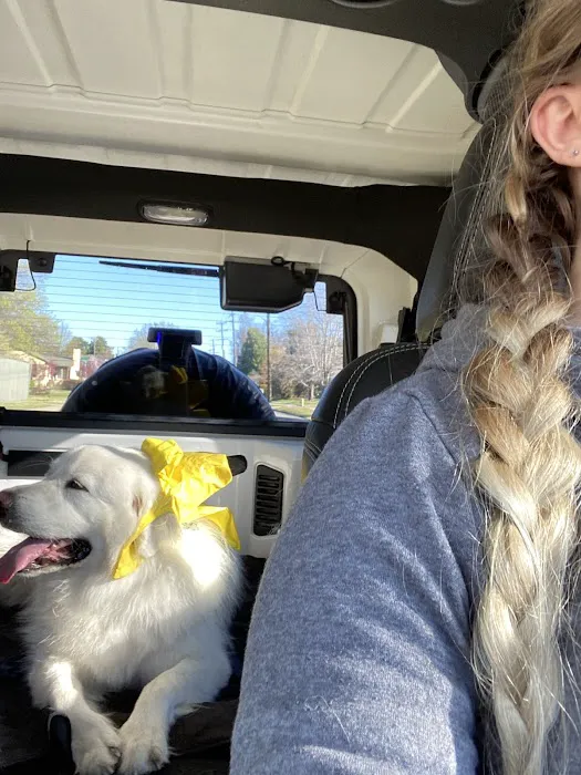 Elm Creek Animal Hospital Picture 3