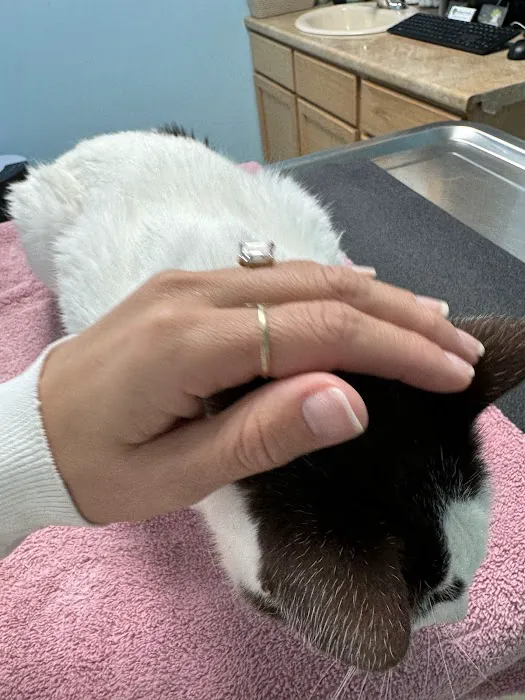 Elm Creek Animal Hospital Picture 5