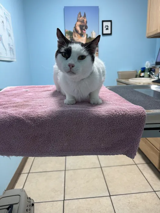 Elm Creek Animal Hospital Picture 7