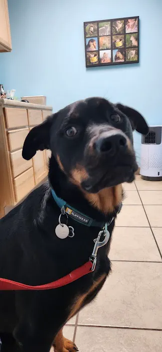 Elm Creek Animal Hospital Picture 6