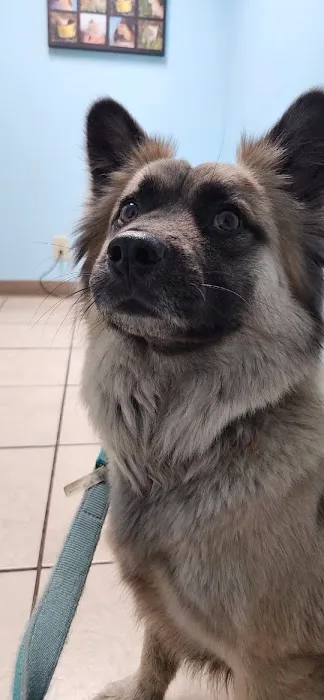 Elm Creek Animal Hospital Picture 9