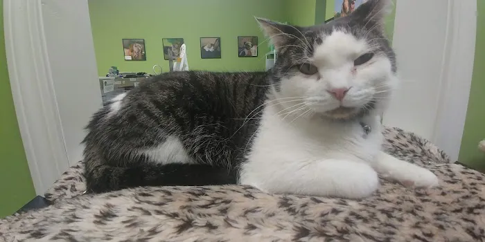 Elm Creek Animal Hospital Picture 8