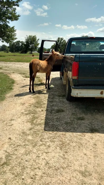 Premier Veterinary Picture 3