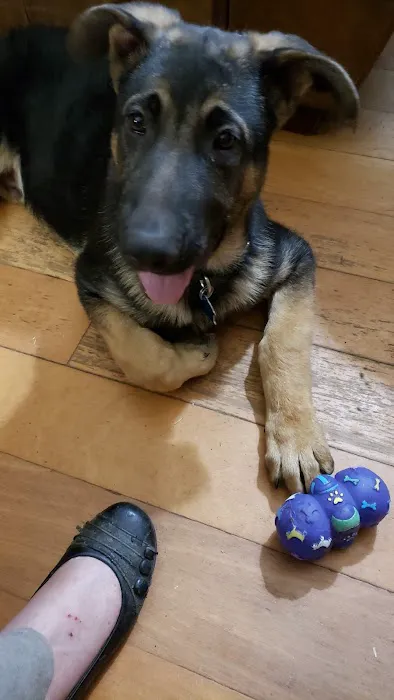 Sallisaw Animal Hospital Picture 2