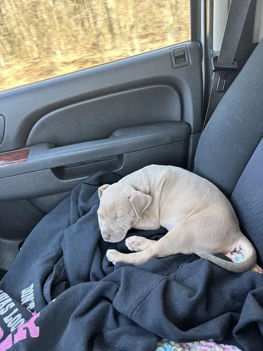 Sallisaw Animal Hospital Picture 1