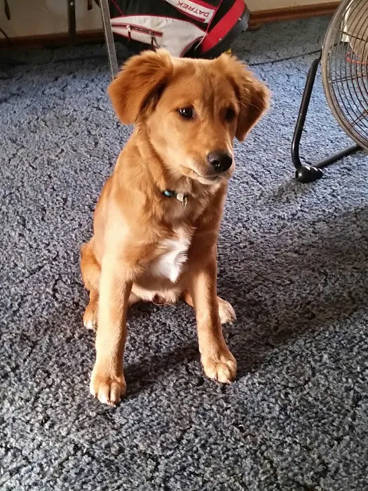 Sallisaw Animal Hospital Picture 7