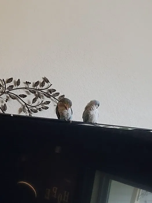 Dr. Gary W. Cox D.V.M Sallisaw Veterinary Clinic Picture 3