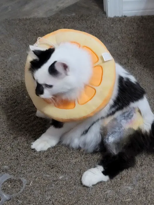 Dr. Gary W. Cox D.V.M Sallisaw Veterinary Clinic Picture 1