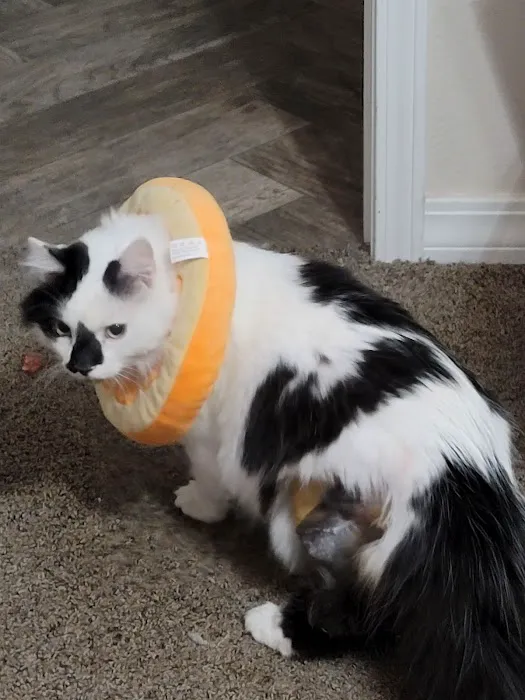 Dr. Gary W. Cox D.V.M Sallisaw Veterinary Clinic Picture 2