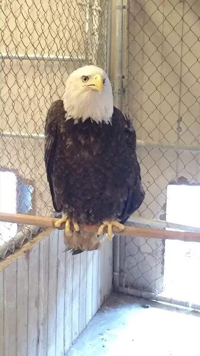 Dr. Gary W. Cox D.V.M Sallisaw Veterinary Clinic Picture 7