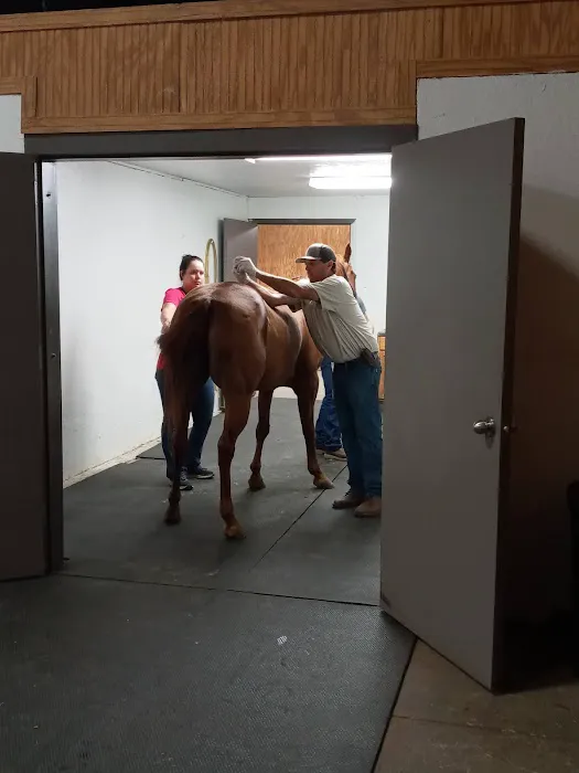 Mckey Equine Hospital Picture 2